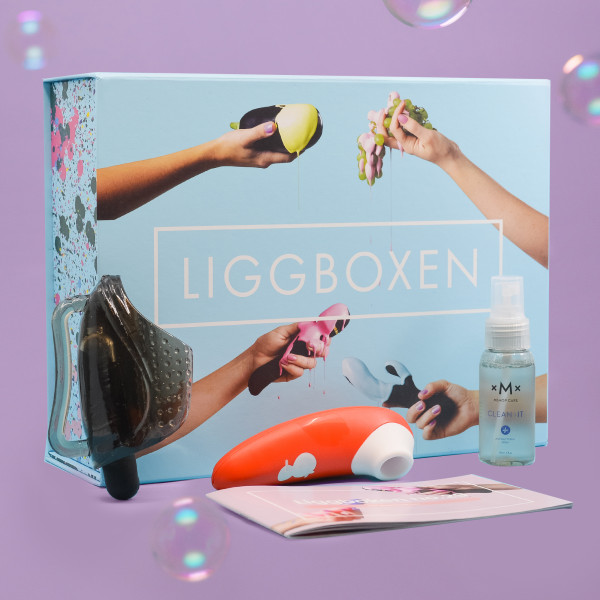 Liggbox Februari 2023