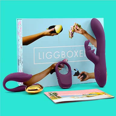Liggbox December 2022